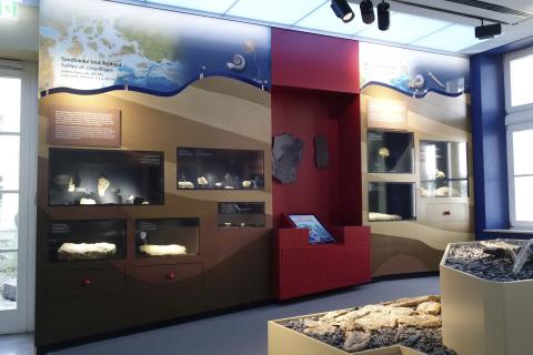 Musée National d'Histoire naturelle Luxembourg | Agentur Gestaltung | Wieland Schmid, Yvonne Rosenbauer