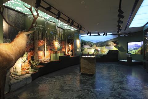 Musée National d'Histoire naturelle Luxembourg | Agentur Gestaltung | Wieland Schmid, Yvonne Rosenbauer